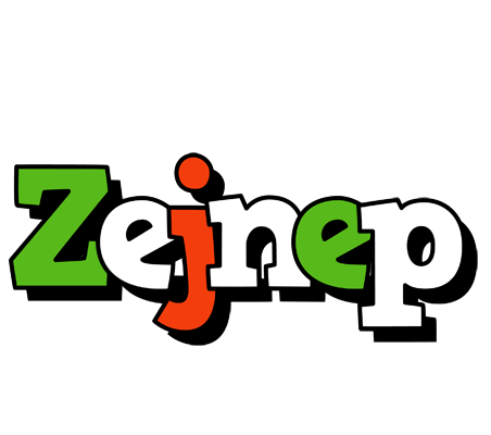 Zejnep venezia logo