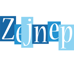 Zejnep winter logo