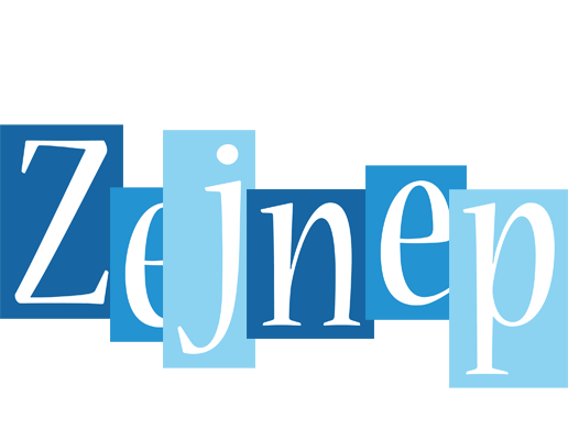 Zejnep winter logo