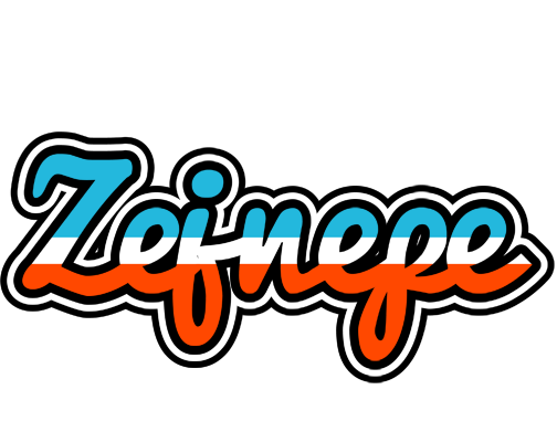 Zejnepe america logo