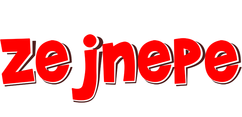 Zejnepe basket logo