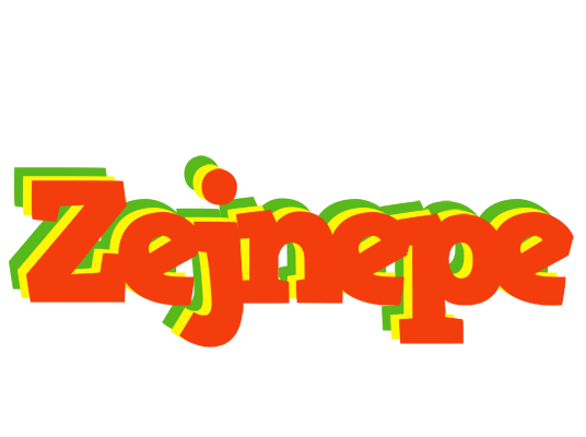 Zejnepe bbq logo