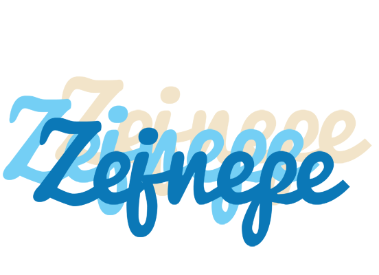 Zejnepe breeze logo