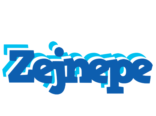 Zejnepe business logo