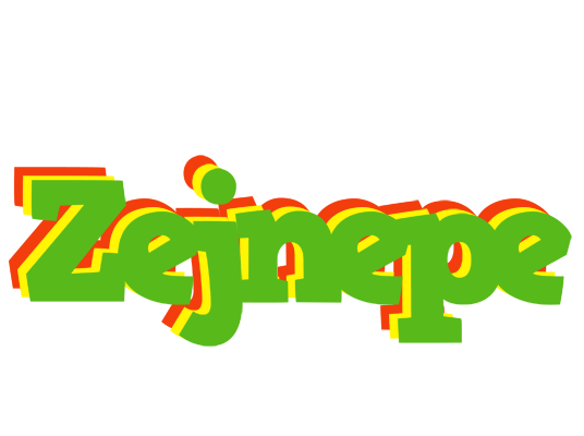 Zejnepe crocodile logo