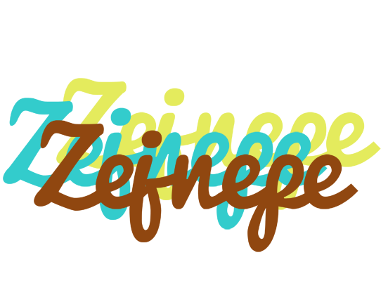 Zejnepe cupcake logo