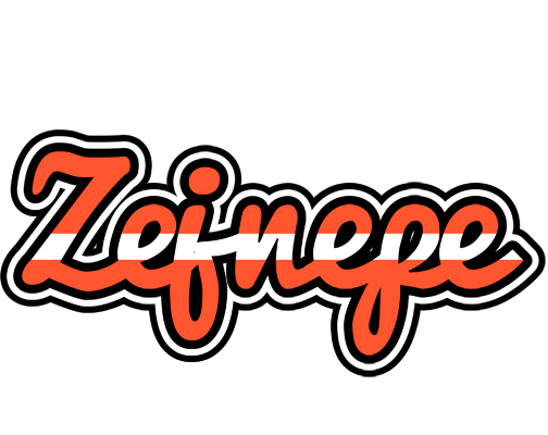 Zejnepe denmark logo