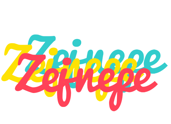 Zejnepe disco logo
