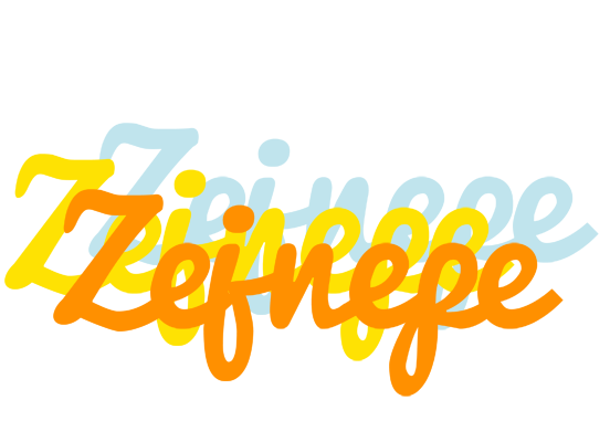 Zejnepe energy logo
