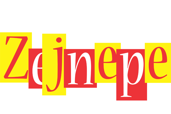 Zejnepe errors logo