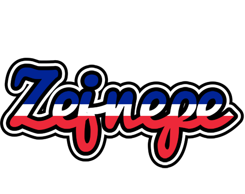 Zejnepe france logo