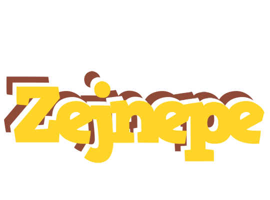 Zejnepe hotcup logo