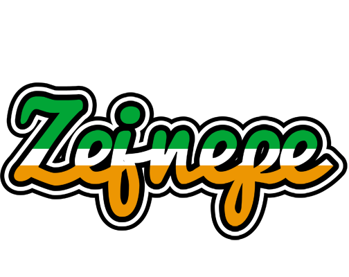 Zejnepe ireland logo