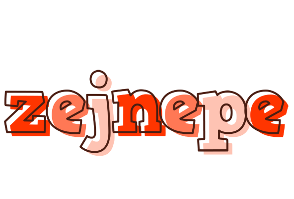 Zejnepe paint logo