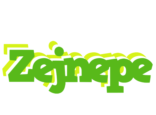 Zejnepe picnic logo