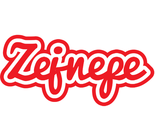 Zejnepe sunshine logo
