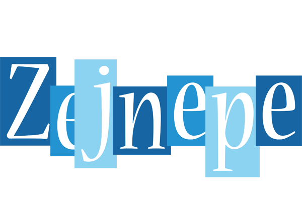 Zejnepe winter logo