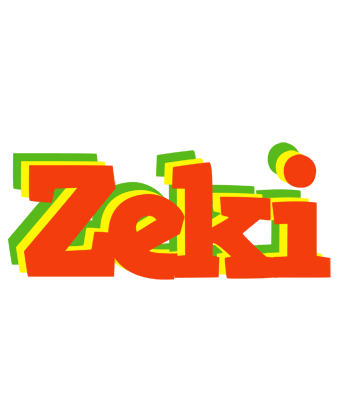 Zeki bbq logo