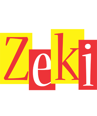 Zeki errors logo