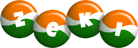 Zeki india logo