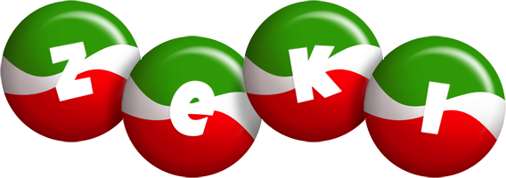 Zeki italy logo