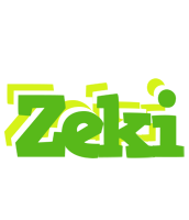 Zeki picnic logo