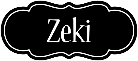 Zeki welcome logo