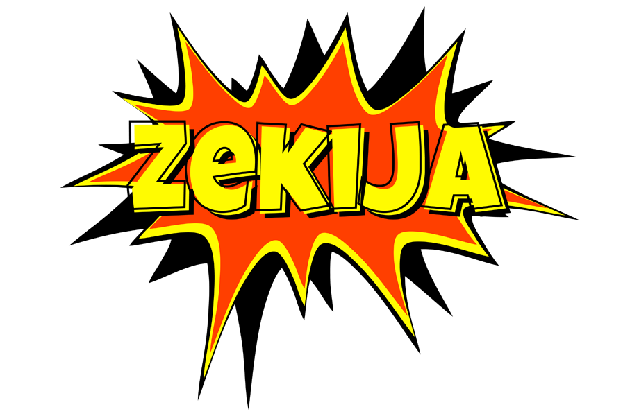 Zekija bazinga logo