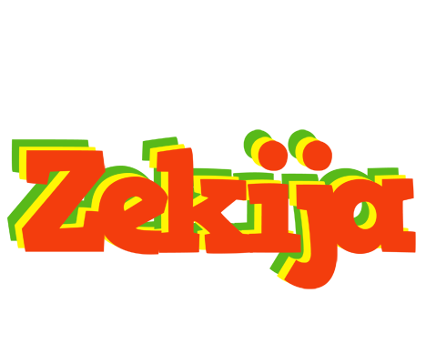 Zekija bbq logo
