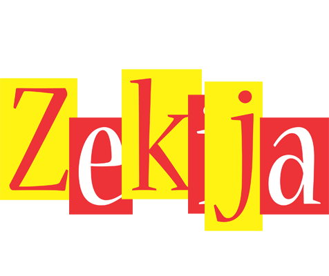 Zekija errors logo