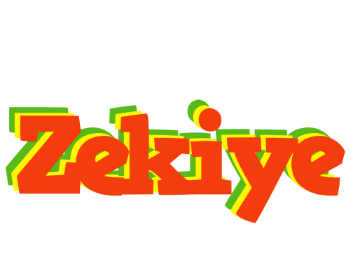 Zekiye bbq logo
