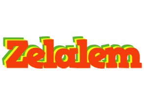 Zelalem bbq logo