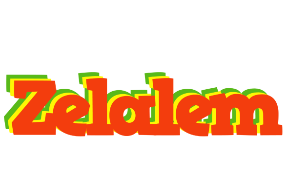 Zelalem bbq logo