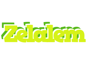 Zelalem citrus logo