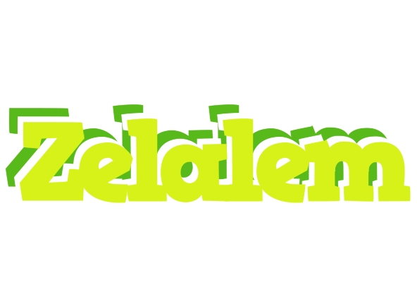 Zelalem citrus logo