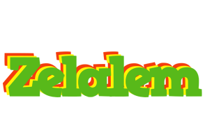 Zelalem crocodile logo