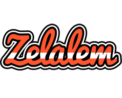 Zelalem denmark logo