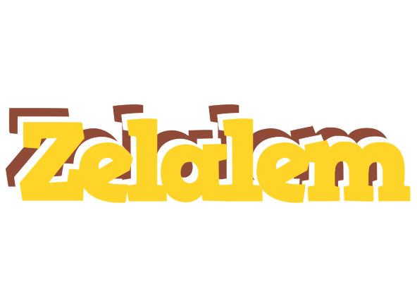 Zelalem hotcup logo