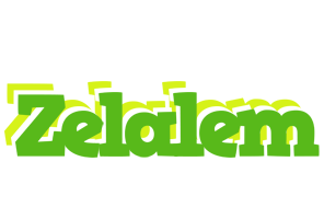 Zelalem picnic logo