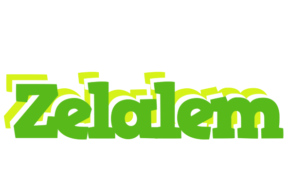Zelalem picnic logo