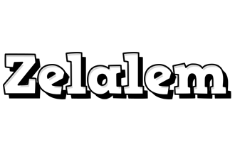 Zelalem snowing logo