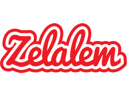 Zelalem sunshine logo