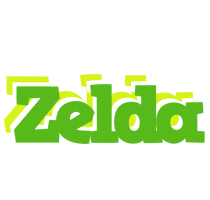 Zelda picnic logo