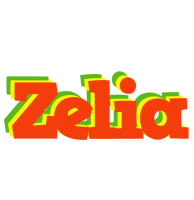 Zelia bbq logo