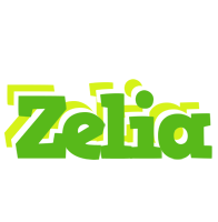 Zelia picnic logo