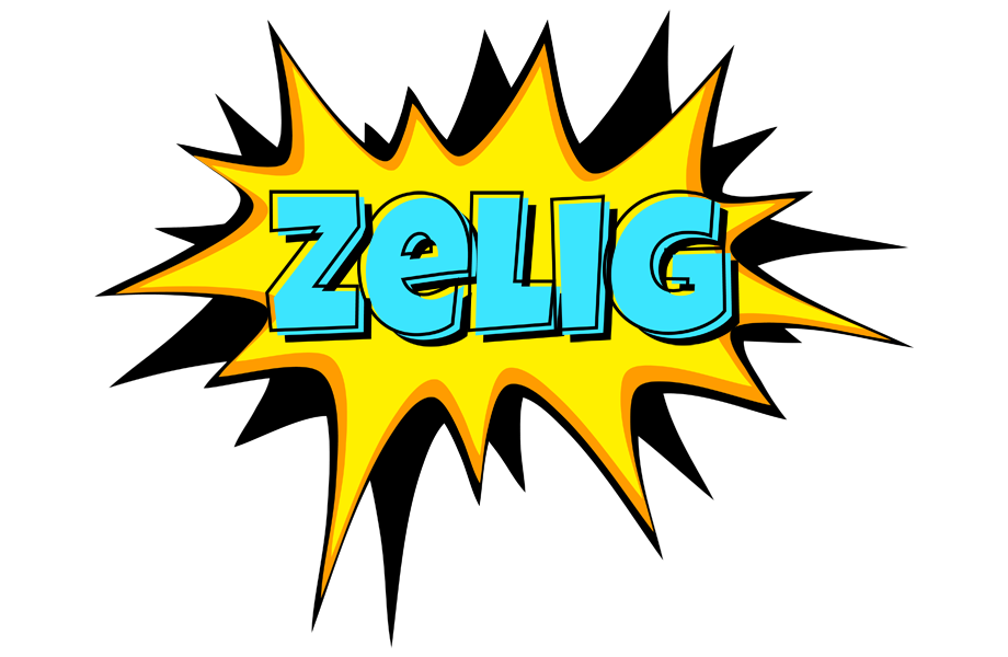 Zelig indycar logo