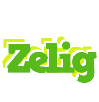 Zelig picnic logo