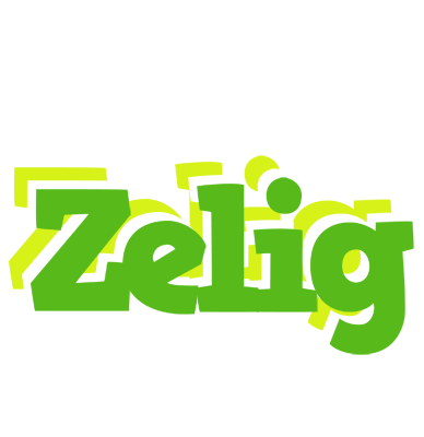 Zelig picnic logo