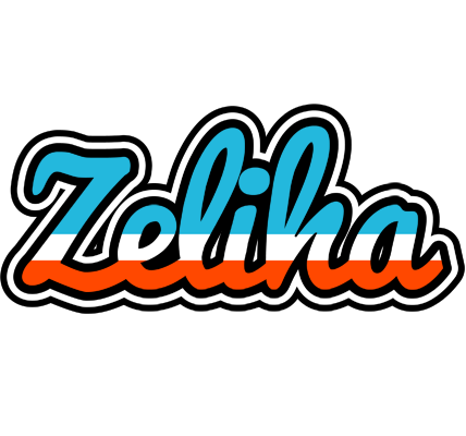 Zeliha america logo