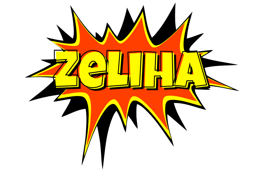Zeliha bazinga logo